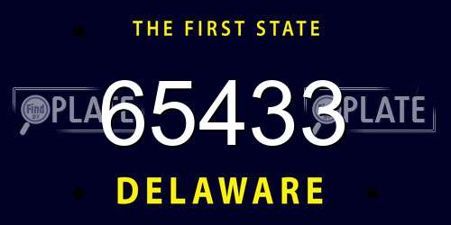 65433 Delaware License Plate