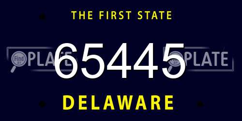 65445 Delaware License Plate
