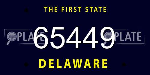 65449 Delaware License Plate