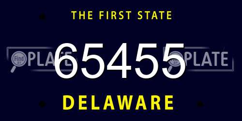 65455 Delaware License Plate