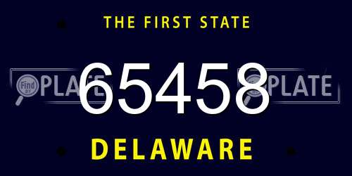 65458 Delaware License Plate