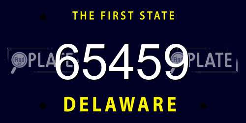 65459 Delaware License Plate