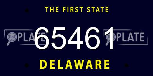 65461 Delaware License Plate