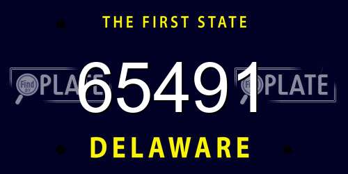 65491 Delaware License Plate