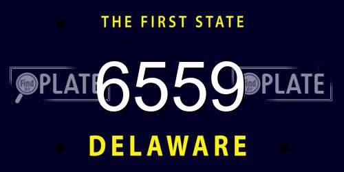 6559 Delaware License Plate