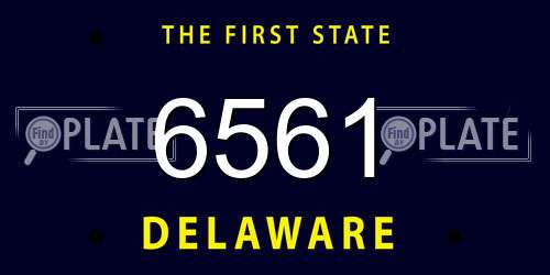 6561 Delaware License Plate