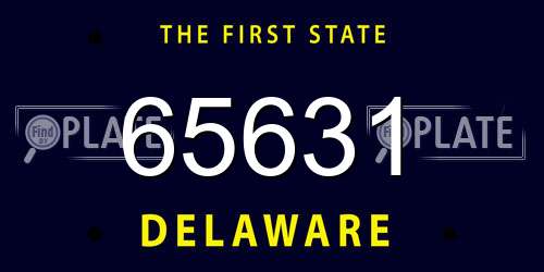 65631 Delaware License Plate
