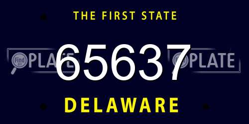 65637 Delaware License Plate