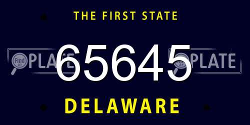 65645 Delaware License Plate