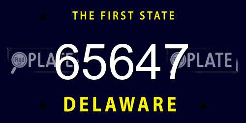 65647 Delaware License Plate