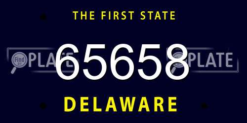 65658 Delaware License Plate