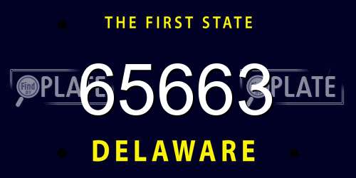 65663 Delaware License Plate