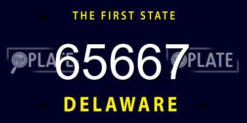 65667 Delaware License Plate