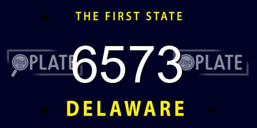 6573 Delaware License Plate