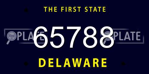 65788 Delaware License Plate