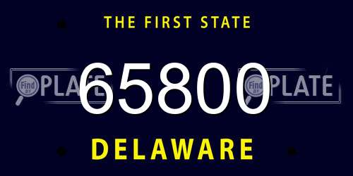 65800 Delaware License Plate
