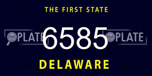6585 Delaware License Plate
