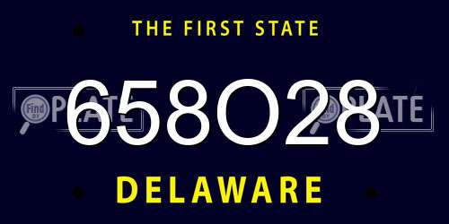 658O28 Delaware License Plate