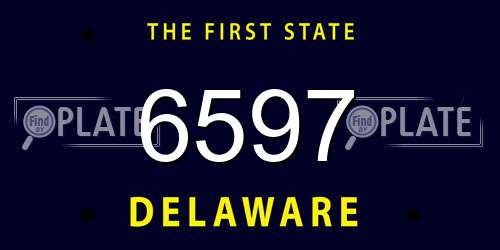 6597 Delaware License Plate