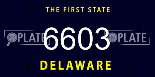 6603 Delaware License Plate
