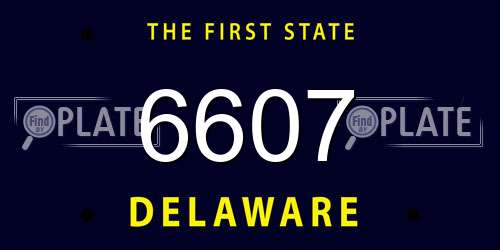 6607 Delaware License Plate