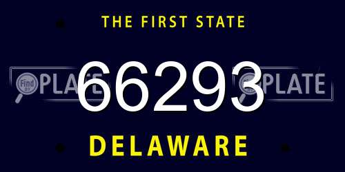 66293 Delaware License Plate