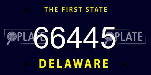 66445 Delaware License Plate