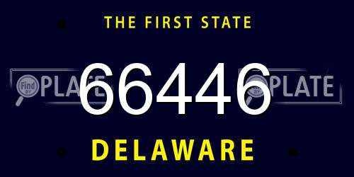 66446 Delaware License Plate