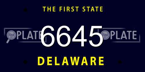 6645 Delaware License Plate