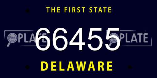 66455 Delaware License Plate