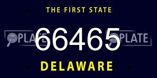 66465 Delaware License Plate