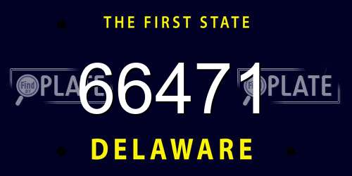 66471 Delaware License Plate