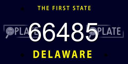 66485 Delaware License Plate