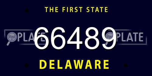 66489 Delaware License Plate