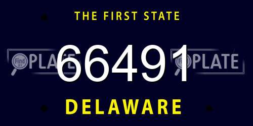 66491 Delaware License Plate