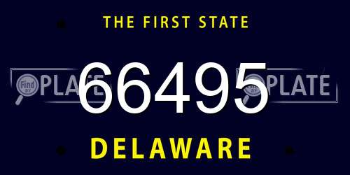 66495 Delaware License Plate