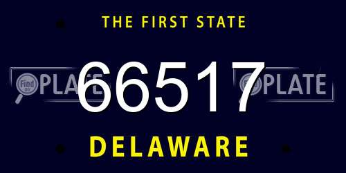 66517 Delaware License Plate