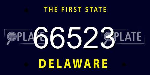 66523 Delaware License Plate