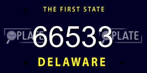 66533 Delaware License Plate