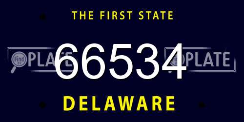 66534 Delaware License Plate