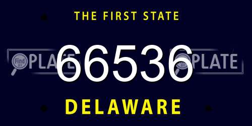 66536 Delaware License Plate