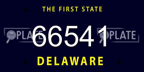 66541 Delaware License Plate