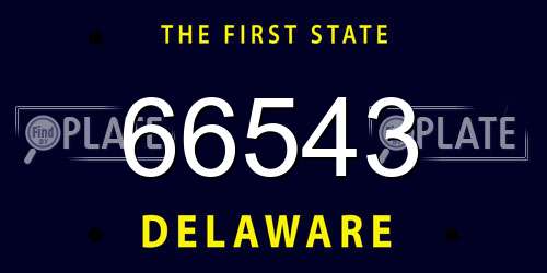 66543 Delaware License Plate