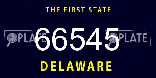 66545 Delaware License Plate