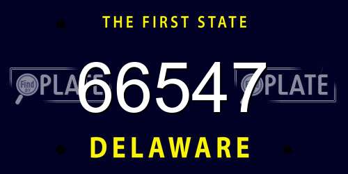 66547 Delaware License Plate