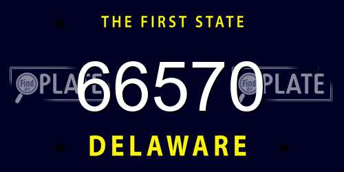 66570 Delaware License Plate