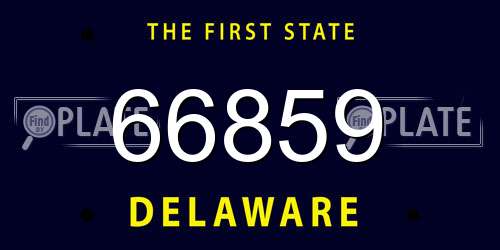 66859 Delaware License Plate