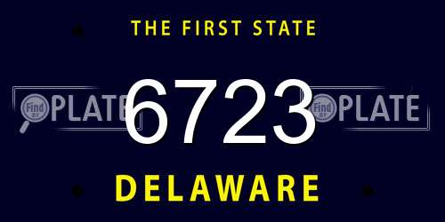 6723 Delaware License Plate