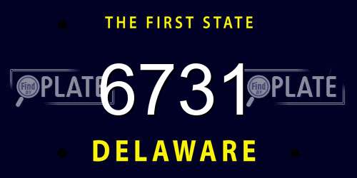 6731 Delaware License Plate