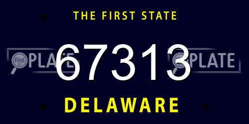 67313 Delaware License Plate